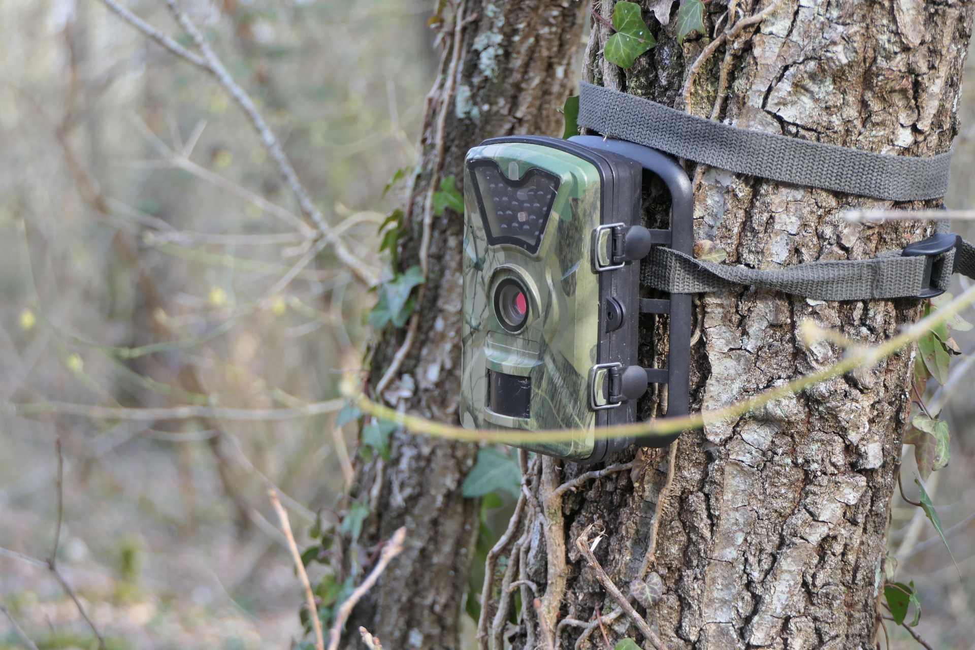 Garde chasse Échilleuses